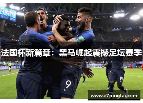 法国杯新篇章：黑马崛起震撼足坛赛季