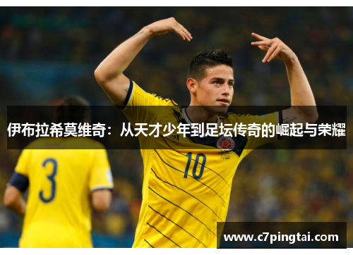伊布拉希莫维奇：从天才少年到足坛传奇的崛起与荣耀